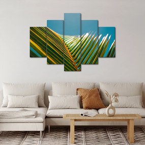 Kép - A pálmalevél részlete (150x105 cm)