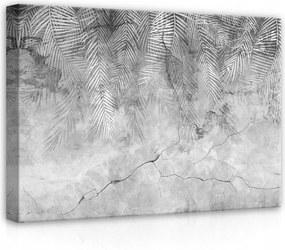 Vászonkép 70x50 Pálmalevelek beton textúra szürke minimalizmus városi természet