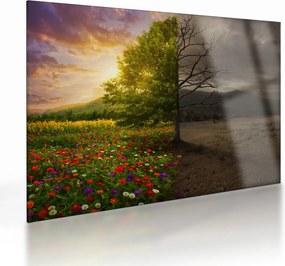 Kép - Életciklus (üvegen) (70x50 cm)