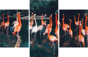 Flamingók csordája (90x60 cm)