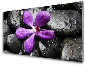 Fali üvegkép Virág Stones Art 100x50 cm