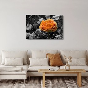 Virág képe (90x60 cm)