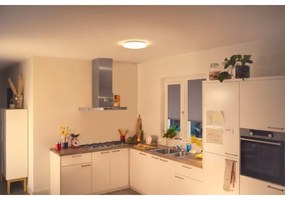 WiZ - LED Dimmelhető mennyezeti lámpa SUPERSLIM LED/17W/230V 4000K Wi-Fi