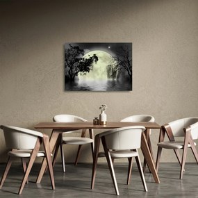 Kép - Telihold a felszín felett, fekete-fehér változat (üvegen) (70x50 cm)