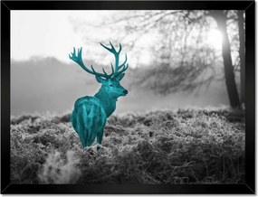 Poszter keretben 40x30 Türkiz szarvas agancsokkal