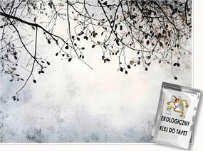 Fotótapéta Ágak Beton Fa Hálószoba Nappali Tapéta Flizelina 200x140