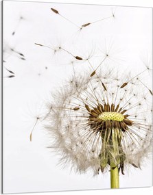 Üveg Vágódeszka 40x52 Virág a Konyhába