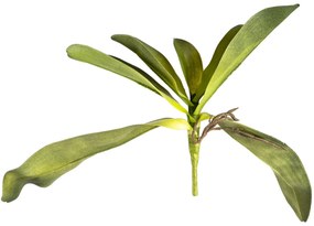 Mű orchidea levél gyökerekkel, 30 cm