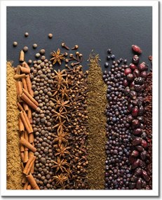 Poszterek keretben 40x50 Színes fűszer szett