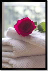 Poszterek keretben 40x60 Rózsa a szeretetttől