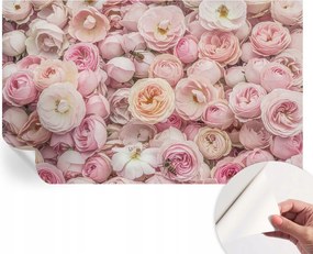 Öntapadós Dekoratív Fotótapéta Hálószobába Gyönyörű virágok 416x254 cm