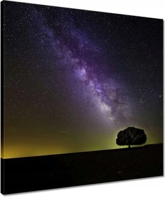 Vászonkép 50x50 Csillagos éj