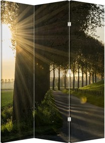 Paraván - Fasor (126x170 cm)