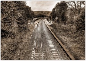 Poszterek 100x70 Tóra szépia fotó