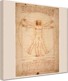 Festmények 20x20 A vitruvius ember da Vinci