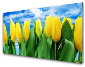 Üvegkép falra tulipán virágok 100x50 cm 2 fogas