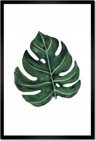 Poszter keretben 40x60 Monstera Zöld levél