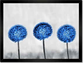 Poszterek keretben 40x30 Kék pitypangok