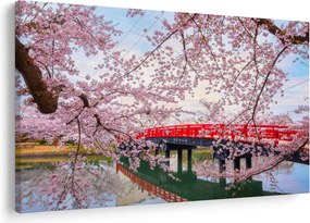 Kép - Hirosaki, Japán (90x60 cm)