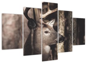 Kép - Szarvas az erdőben (150x105 cm)