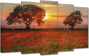 Vászonkép 100x60 Pipacsok a mezőn Tájkép