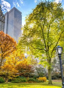 Poszter 39,5x55cm Őszi Központi Park, Assaf Frank