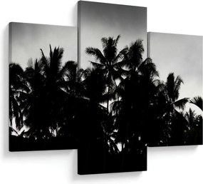 A fekete-fehér pálmafák képe (90x60 cm)
