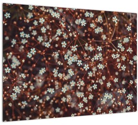 Erdei nefelejcs virág képe (üvegen) (70x50 cm)