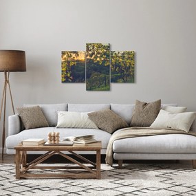 Kép - szőlőültetvény (90x60 cm)