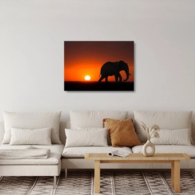 Elefánt képe naplementekor (üvegen) (70x50 cm)