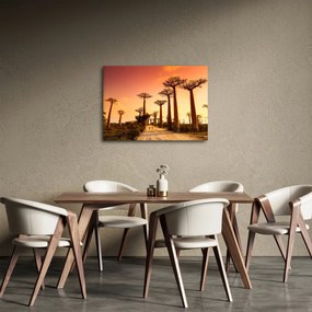 Kép - Naplemente a Baobab Alley-ben (70x50 cm)