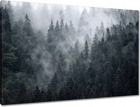 Vászonkép 90x60 Ködös hegyi táj