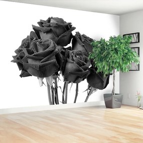 Fotótapéta fekete rózsa 104x70 cm