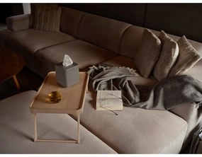 Műanyag zsebkendőtartó Ume – Zone