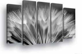 Vászonkép 150x100 Pitypang mag pehely makro természet könnyed nyugalom