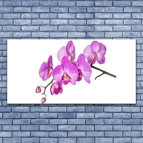 Vászonkép nyomtatás Orchidea Orchidea Virág 125x50 cm