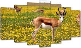 Festmények 140x80 Antilop a virágok között