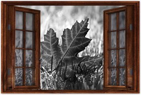 Plakátok 120x80 Őszi levél a füvön