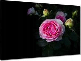 Vászonkép 120x80 Rózsaszín rózsabokor