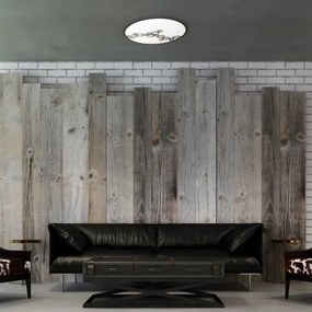 LED Mennyezeti lámpa LENA LED/40W/230V + távirányító