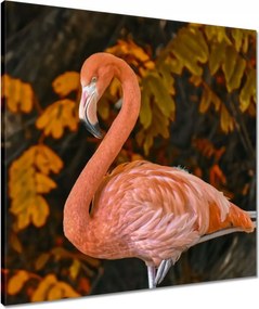 Vászonkép 60x60 Pelikán a természetben