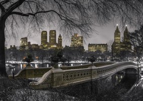 Poszter 100x70cm Központi park Manhattan panorámával, Assaf Frank