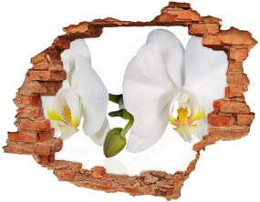 3d fali matrica lyuk a falban Orchidea nd-c-103920801