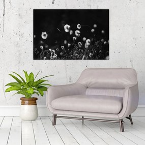 Kép - Gyapotfűvel borított rét N⁰1 (90x60 cm)