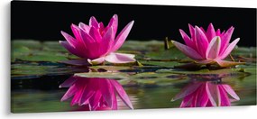 A tavirózsa képe a vízen (120x50 cm)
