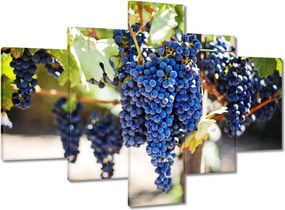 Vászonkép 100x70 Bor Szőlő Szőlőbirtok