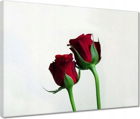Vászonkép 40x30 Vörös rózsák neki