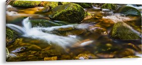 Patak képe (120x50 cm)