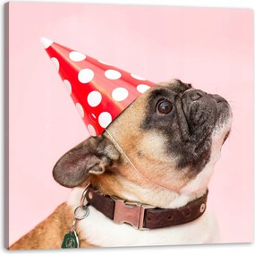 Ifjúsági Vászonkép Mopsz Születésnap Állatok Természet Kutya 60x60