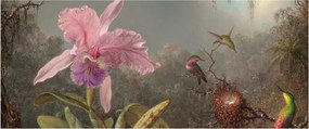 Kép - Martin Johnson Heade, Cattleya Orchid and Three Hummingbirds, reprodukciók (120x50 cm)
